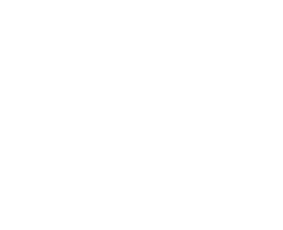 Tridaya Global Value
